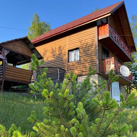 Сімейний Котедж Краєвид Mykulychyn Eksteriør billede