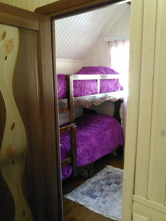 Сімейний Котедж Краєвид Mykulychyn Eksteriør billede